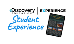 student experience 